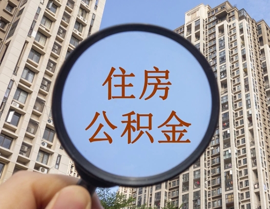 单县退休后查不到公积金明细了吗（退休后公积金查询不到原因）